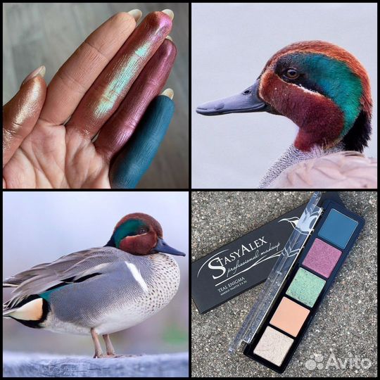 Тени Stasy Alex