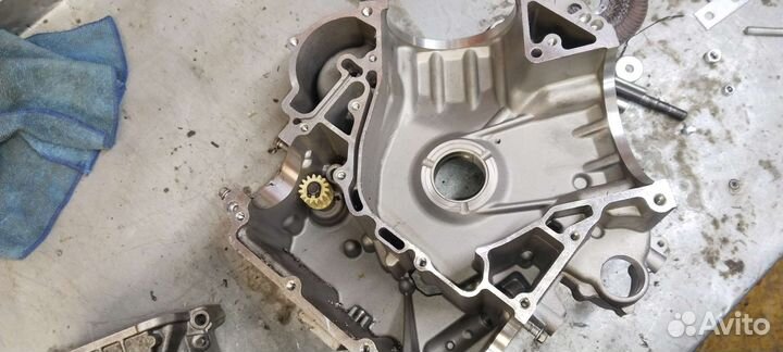 Картерины stels россомаха