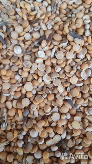 Комбикорм бр-1(Южная Корона) старт для бройлера