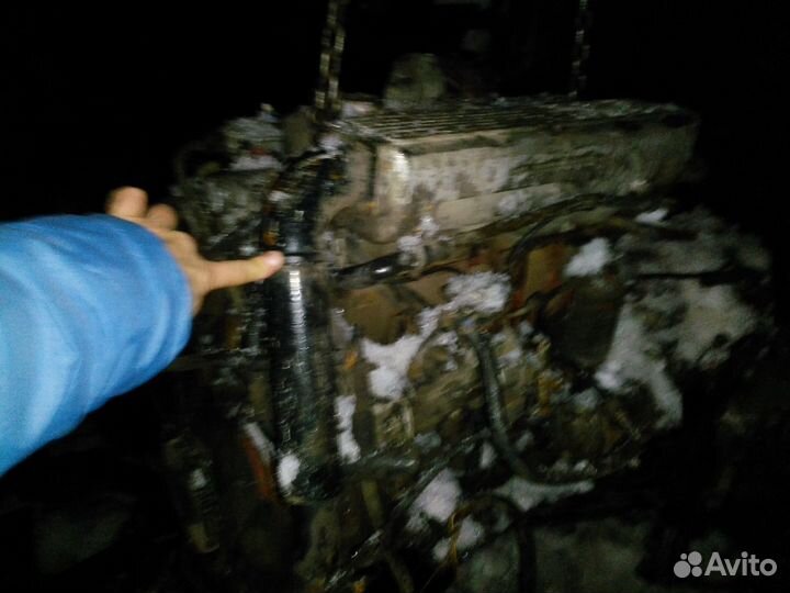 Двигатель голаз 4244-avia D