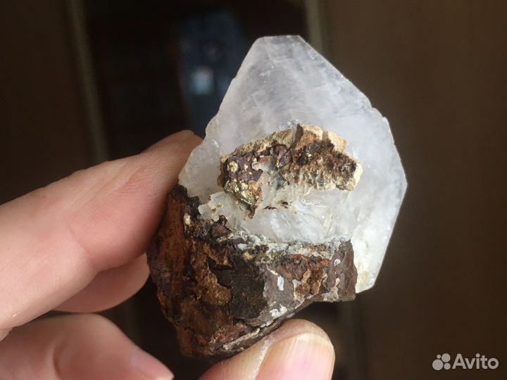 Продается образец