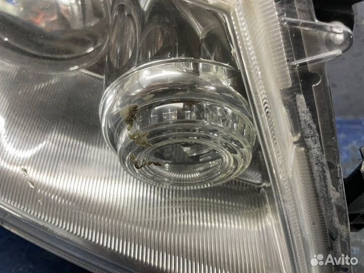 Фара ксенон правая Infiniti M Y50