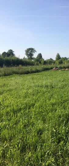 Участок 11 сот. (СНТ, ДНП)