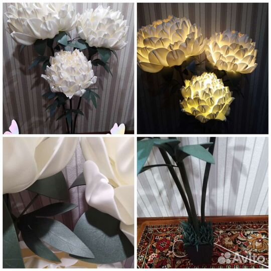 Ростовые цветы