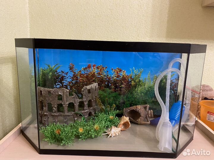 Аквариум 80 л с оборудованием и декорациями