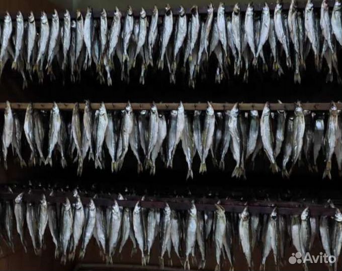 Копченая рыба Кета и Горбуша