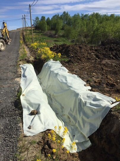 Участок 13 сот. (СНТ, ДНП)