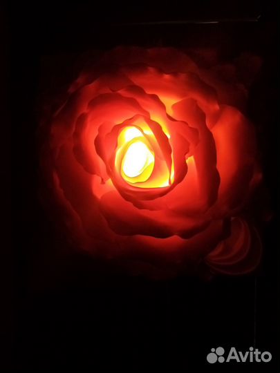 Большие цветы для интерьера