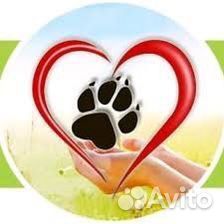 Требуется работник в приют для собачек