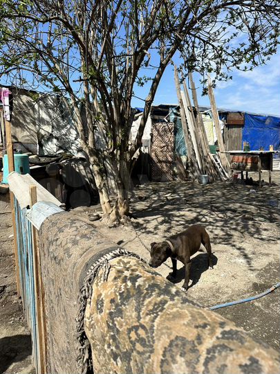 Дом 37 м² на участке 19,5 сот.