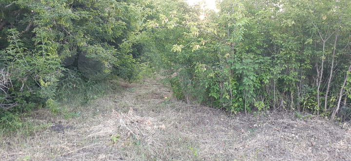 Участок 9 сот. (СНТ, ДНП)