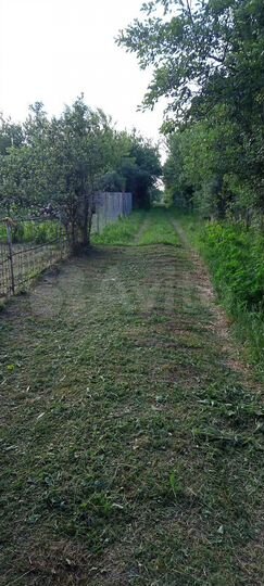 Участок 3 сот. (СНТ, ДНП)