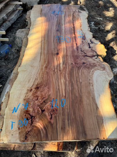 Слэбы капового гигантского чинара в наличии