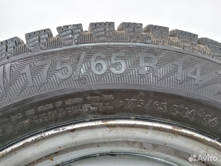 Gislaved Nord Frost 200 175/65 R14