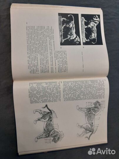 Книга Лепка 1963г