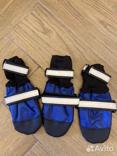 Обувь для собак