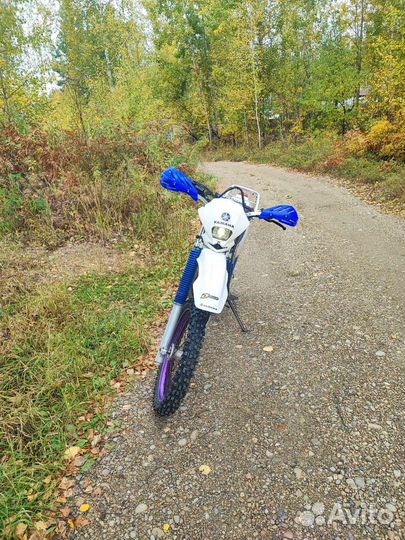 Yamaha ttr-250