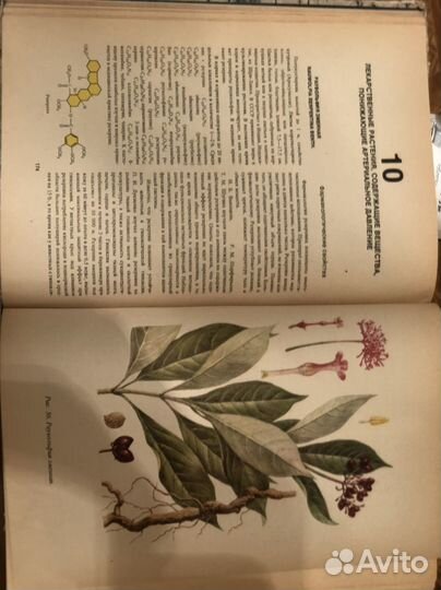 Книга о лекарственных растениях