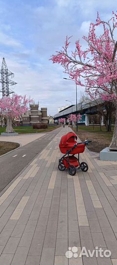 Коляска 3 в 1