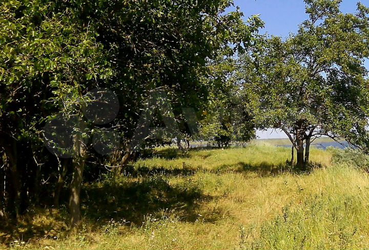 Участок 6 сот. (ИЖС)