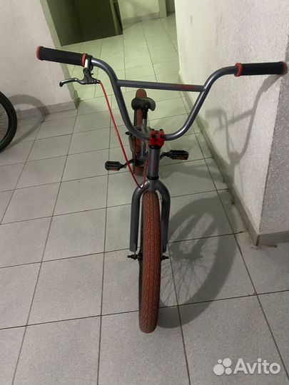 Bmx TT mack