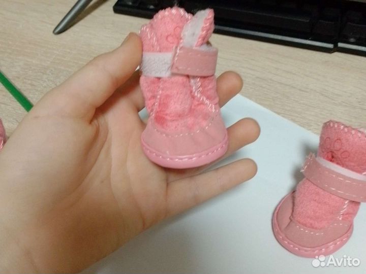 Ботинки для собаки