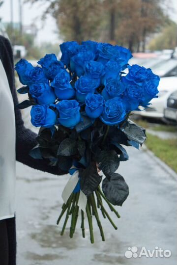 25 синих роз. Синяя роза. Челябинск 