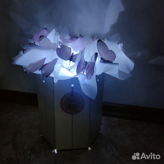 Бабочки в коробке