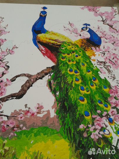 Картина по номерам новая