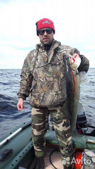 Судак рыбинский