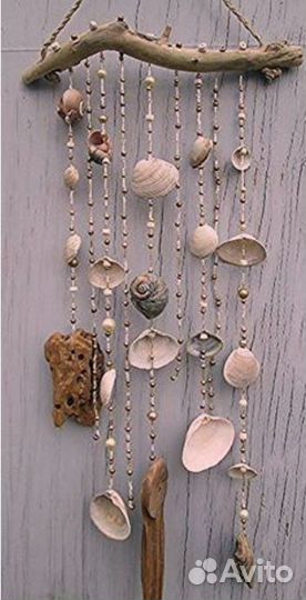Раковины от гребешков