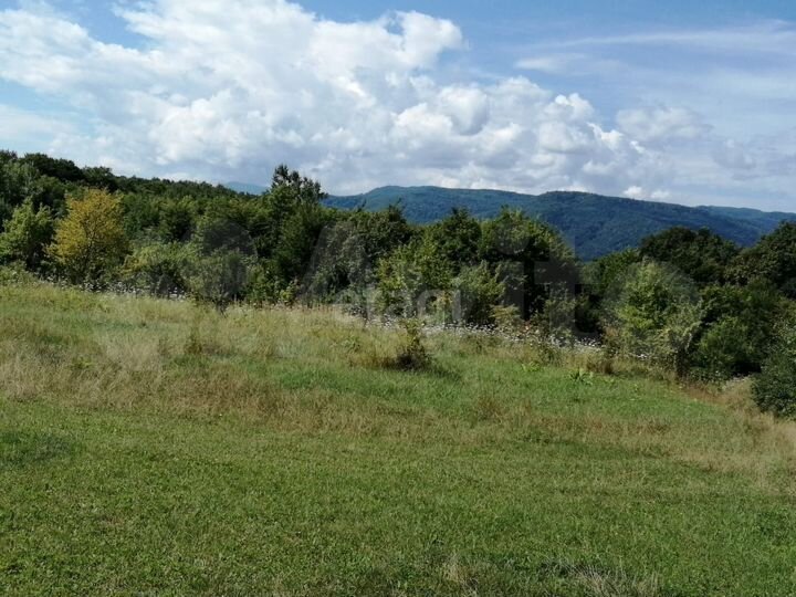 Участок 4,3 га (СНТ, ДНП)