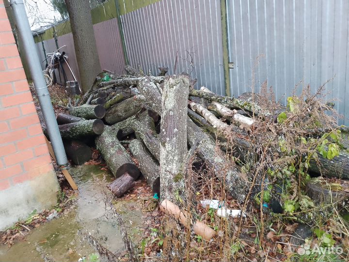 Дрова сухие