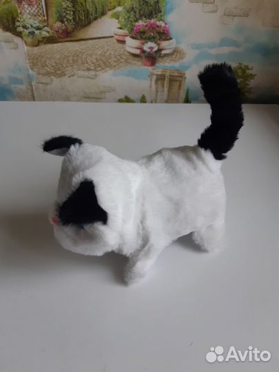 Интерактивный котенок