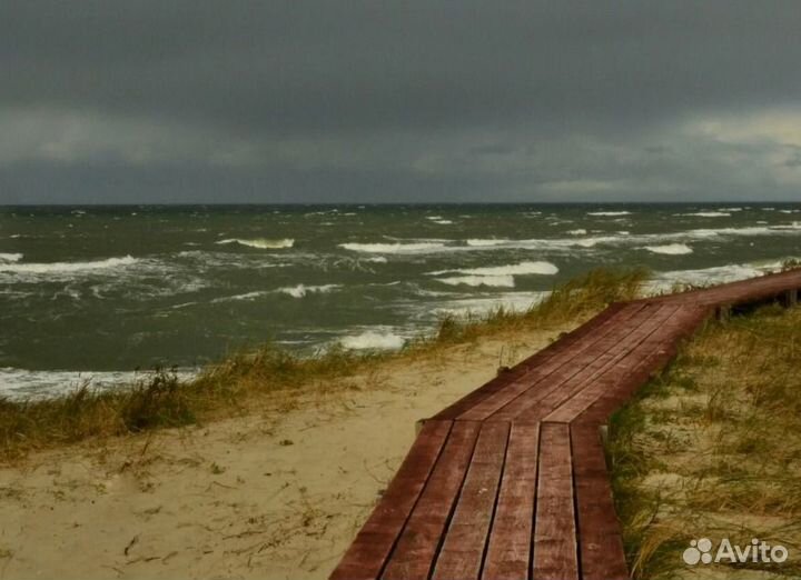 Автобусный/жд тур в Калининград из Казани