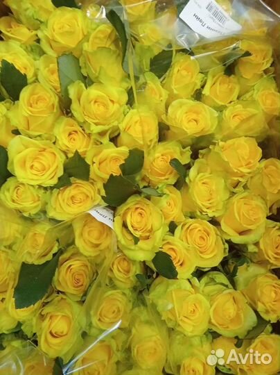 Цветы оптом/Розы оптом и в розницу