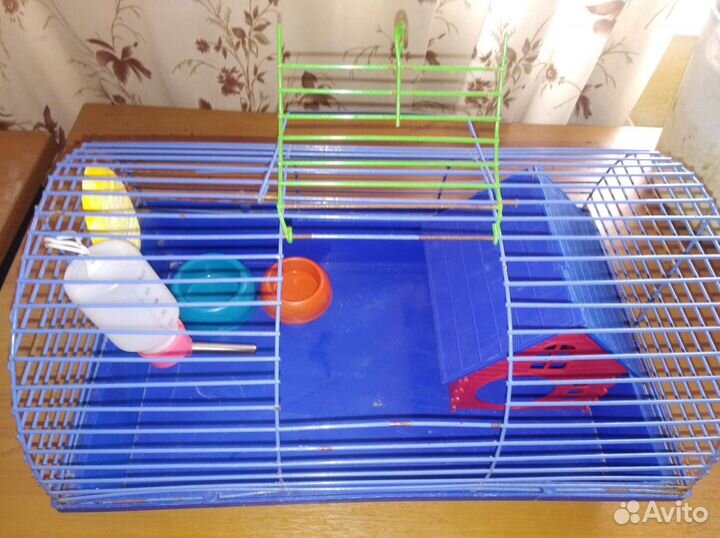 Клетка для джунгарского хомяка