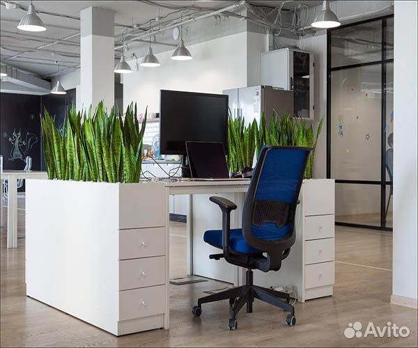 Озонирование коммерческих и жилых помещений