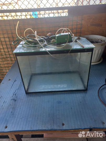 Аквариум