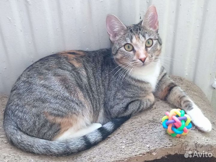 Алиса 11 мес