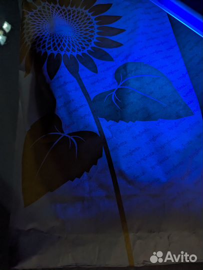 Семена подсолнуха suzuka семечка