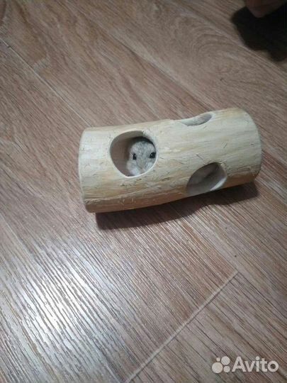 Туннель в клетку для хомячка