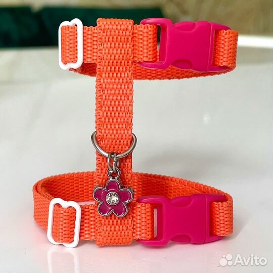 Шлейка и поводок для хорька норки