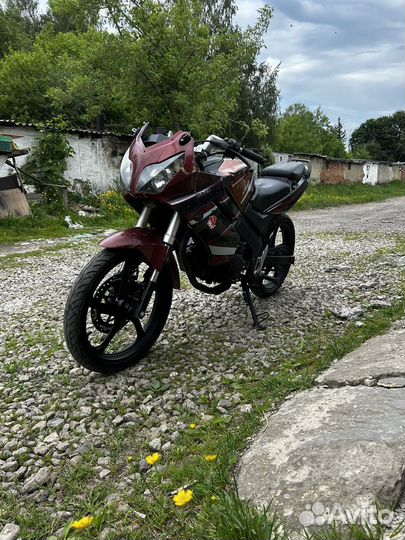 Stels sb 200