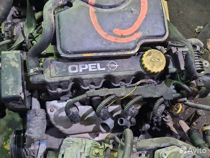 Опель астра вектра Корса двигатель x16szr