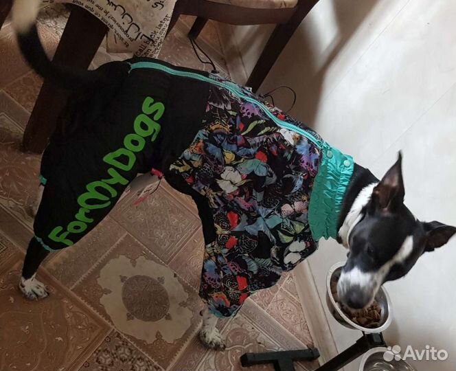 Комбинезон утепленный для средних собак/ девочка