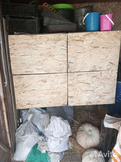 Брудер для цыплят