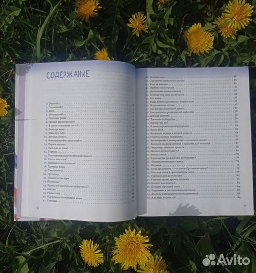 Книга Е. О. Комаровский