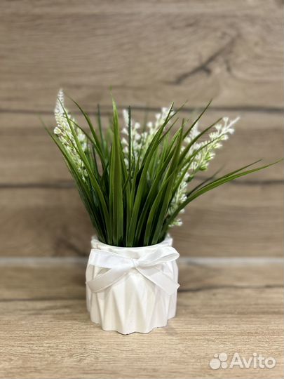 Зелень, декоративная трава, осока