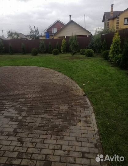 Можжевельник казацкий голубой